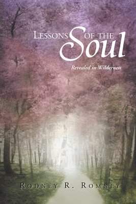 bokomslag Lessons of the Soul