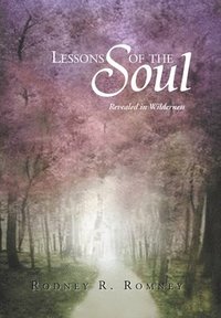 bokomslag Lessons of the Soul