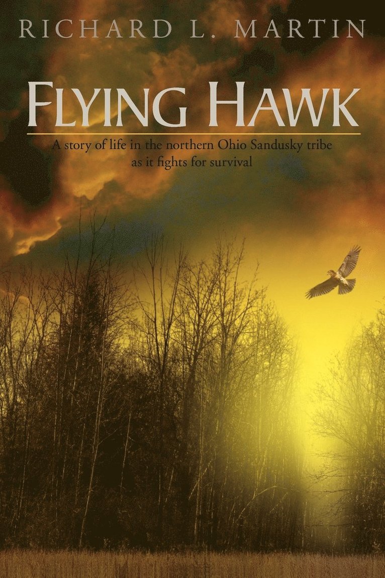 Flying Hawk 1