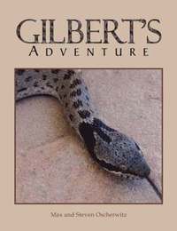 bokomslag Gilbert's Adventure