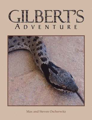 Gilbert's Adventure 1