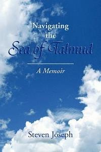 bokomslag Navigating the Sea of Talmud