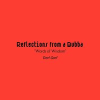 bokomslag Reflections from a Bubba