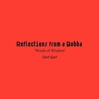 bokomslag Reflections from a Bubba