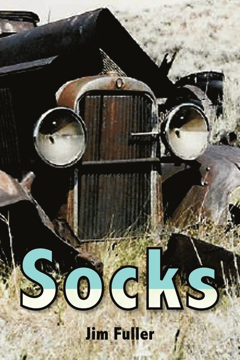 Socks 1