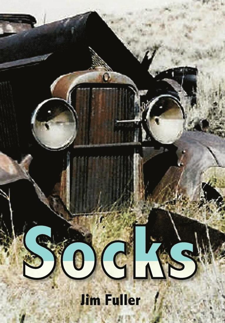 Socks 1