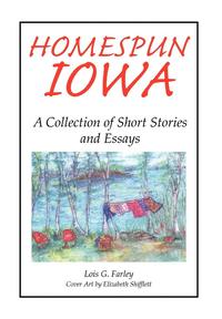 bokomslag Homespun Iowa