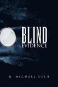 bokomslag Blind Evidence