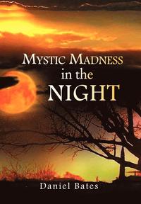 bokomslag Mystic Madness in the Night