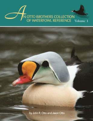 An Otto Brothers Collection of Waterfowl Reference 1