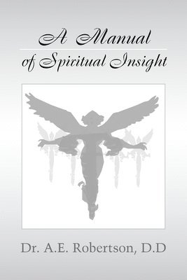 bokomslag Manual of Spiritual Insight
