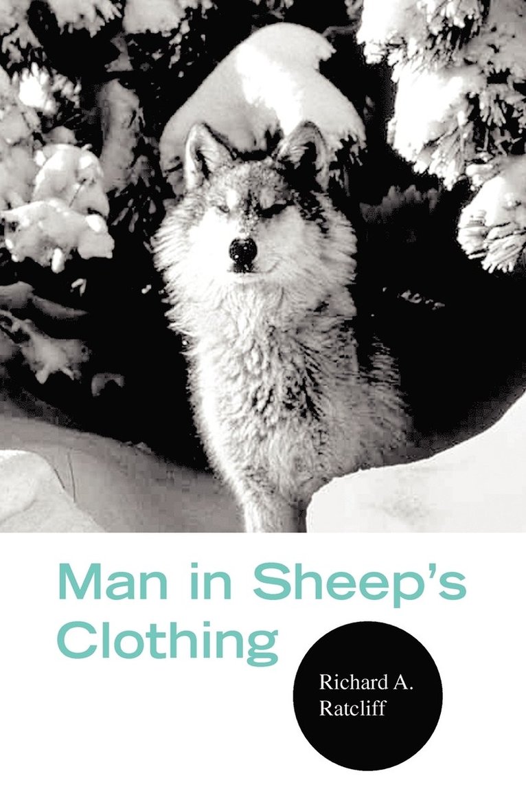 Man in Sheep's Clothing 1