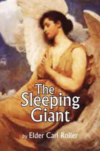 bokomslag The Sleeping Giant