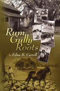 bokomslag Rum Gully Roots