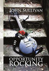 bokomslag Opportunity Rocking