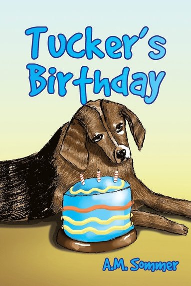 bokomslag Tucker's Birthday