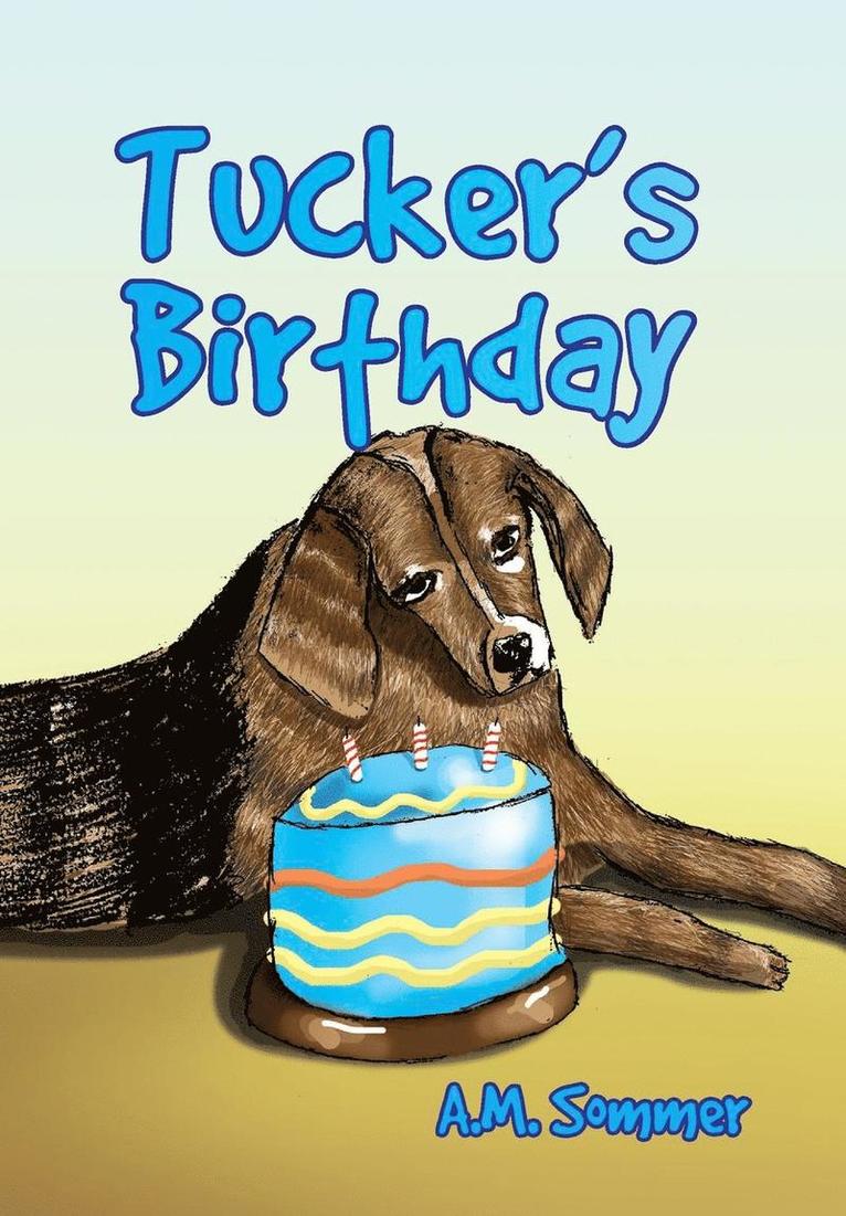 Tucker's Birthday 1