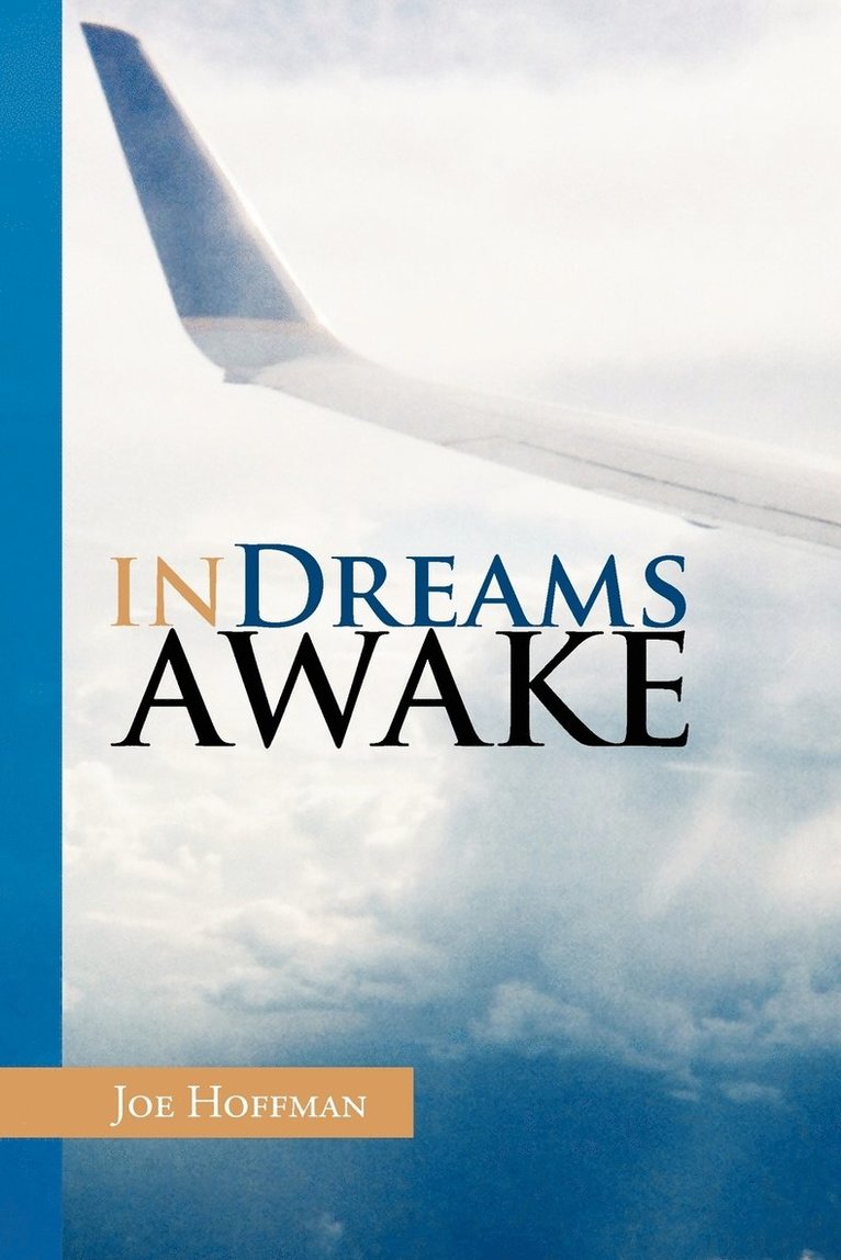 In Dreams Awake 1