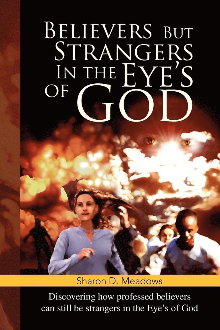 Sharon D Meadows, Sharon D. Meadows - Believers But Strangers In the Eye's of God, Häftad