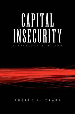 bokomslag Capital Insecurity