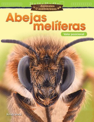 Kristy Stark - Animales asombrosos: Abejas melíferas, Häftad