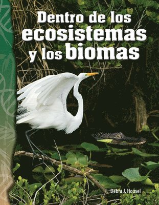 Debra J. Housel - Dentro de Los Ecosistemas Y Los Biomas, Häftad