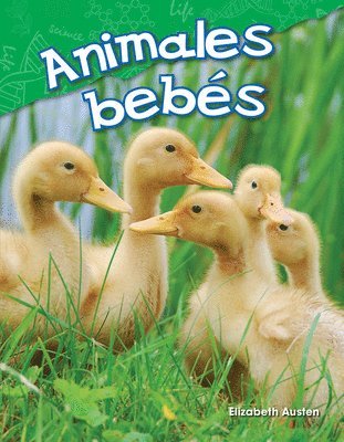 Elizabeth Austen - Animales Bebés, Häftad