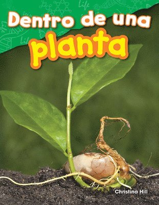 bokomslag Dentro de Una Planta