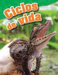 bokomslag Ciclos de Vida
