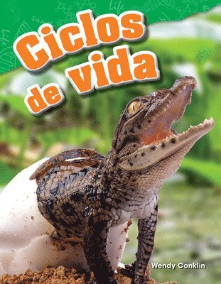 bokomslag Ciclos de Vida