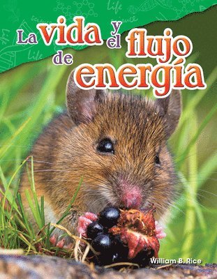 William B. Rice, William Rice - La Vida Y El Flujo de Energía, Häftad