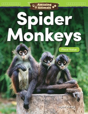 Logan Avery - Amazing Animals: Spider Monkeys: Place Value, Häftad