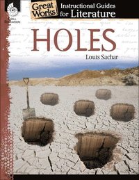 bokomslag Holes: An Instructional Guide for Literature