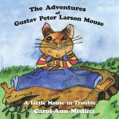 bokomslag The Adventures of Gustav Peter Larson Mouse