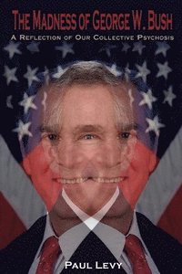 bokomslag The Madness of George W. Bush