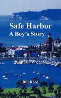 bokomslag Safe Harbor