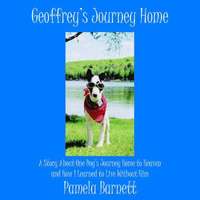 bokomslag Geoffrey's Journey Home