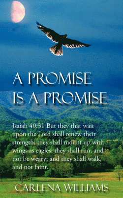 A Promise is a Promise 1