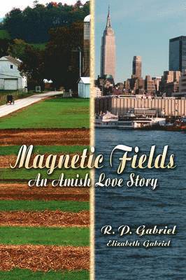 R. P. Gabriel, Elizabeth Gabriel, R P Gabriel - Magnetic Fields, Inbunden