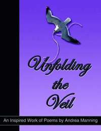 bokomslag Unfolding the Veil