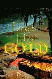bokomslag A Pocket Full of Gold