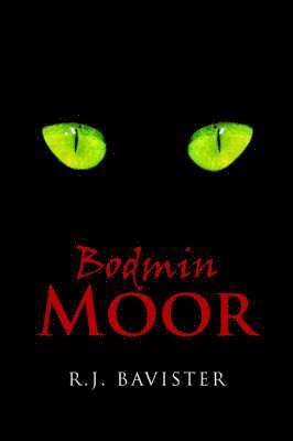 Bodmin Moor 1