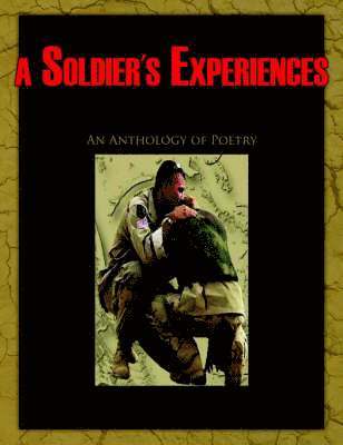 bokomslag Bird's Eye View of a Soldier's Experiences in Iraq