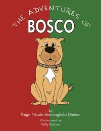 bokomslag The Adventures of Bosco