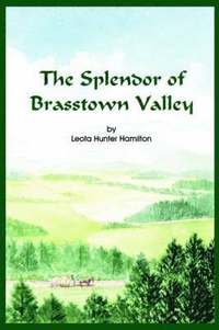 bokomslag The Splendor of Brasstown Valley