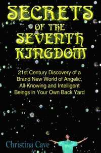 bokomslag Secrets of the Seventh Kingdom