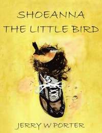 bokomslag Shoeanna the Little Bird