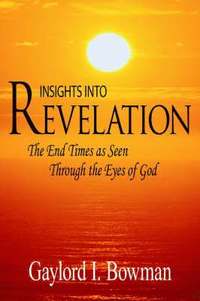 bokomslag Insights Into Revelation