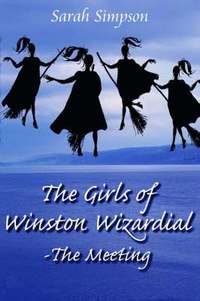 bokomslag The Girls of Winston Wizardial-The Meeting