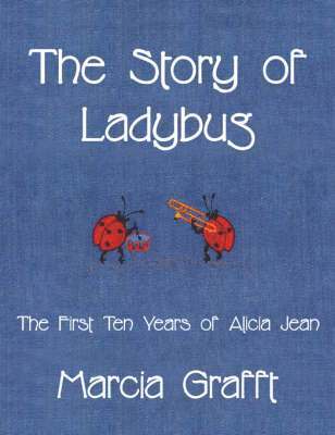 bokomslag Story of Ladybug